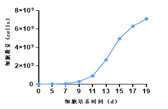 细胞培养时间.png